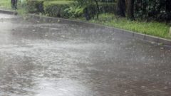 d98befe6d2d28b68056f86823fca9c03_s